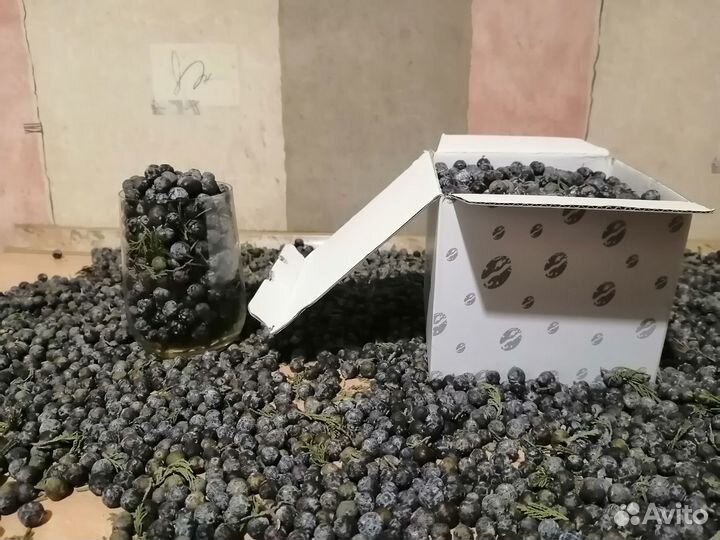 Плоды Ягоды Можжевельника