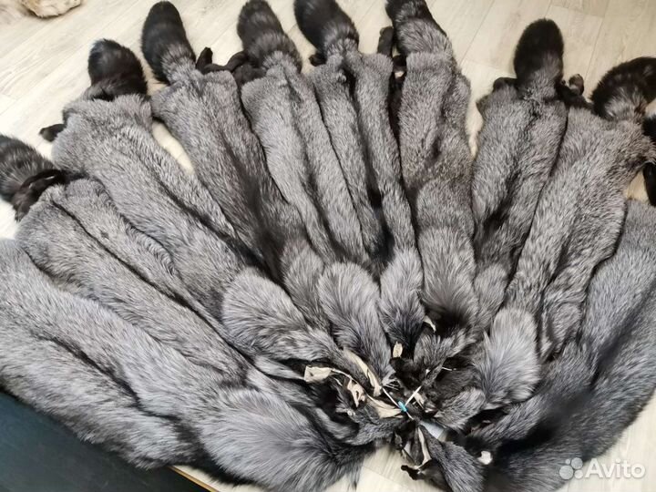 Чернобурая лиса, чернобурка, мех лисы