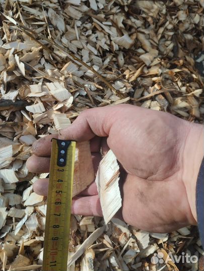 Измельчитель веток дробилка в аренду