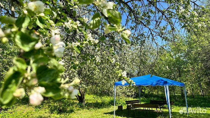 Участок для отдыха на природе в Переделкино