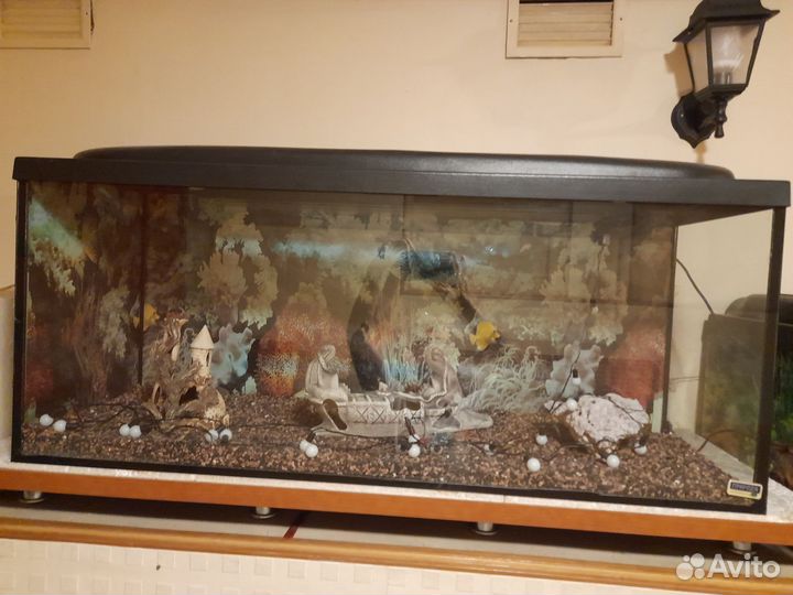 Аквариум