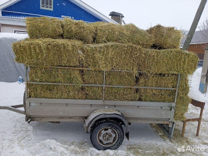 Сено в тюках