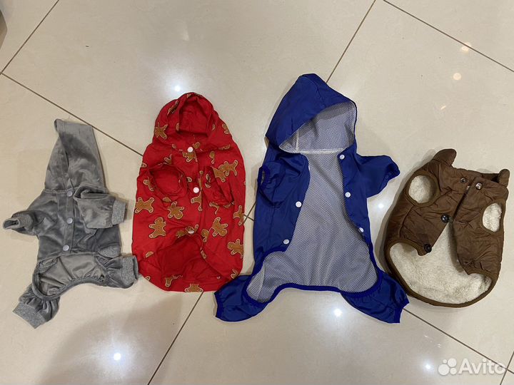 Одежда для собак