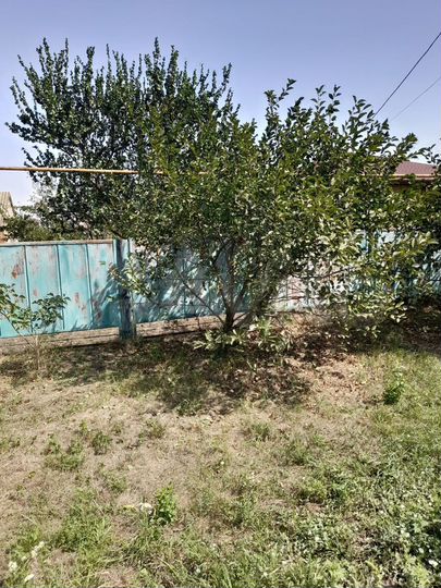 Дом 90 м² на участке 85 сот.