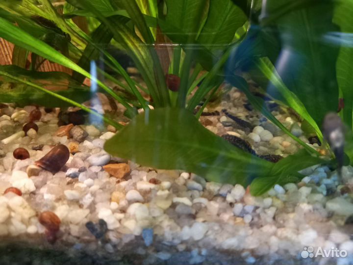 Кварцевый песок