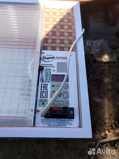 Инкубатор для яиц автоматический бу