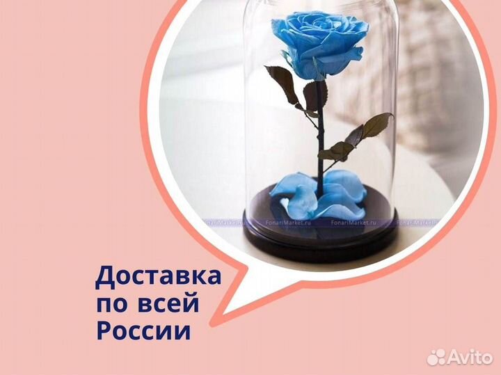 Роза в колбе. Качественная