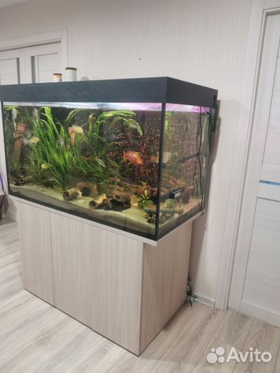 Аквариум + содержимое