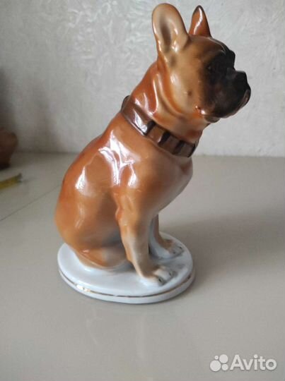 Фарфоровая Собака