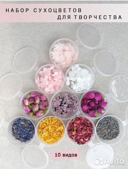 Сухоцветы для творчества
