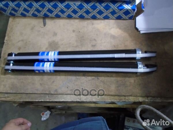 1213-0095-SX амортизатор задний газовый Ford F