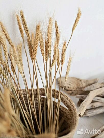 Букеты из натуральной пшеницы