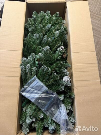 Ель императорская заснеженная 185 см