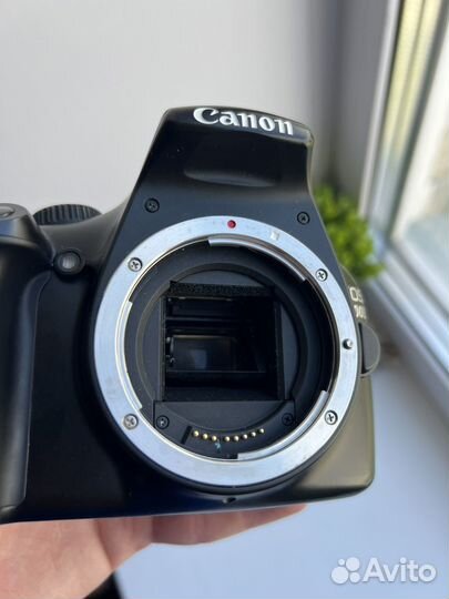 Canon 1100d + canon 400d