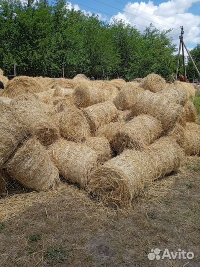 Солома в тюках