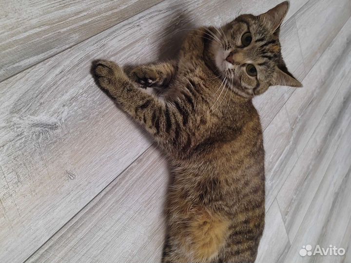 Европейская