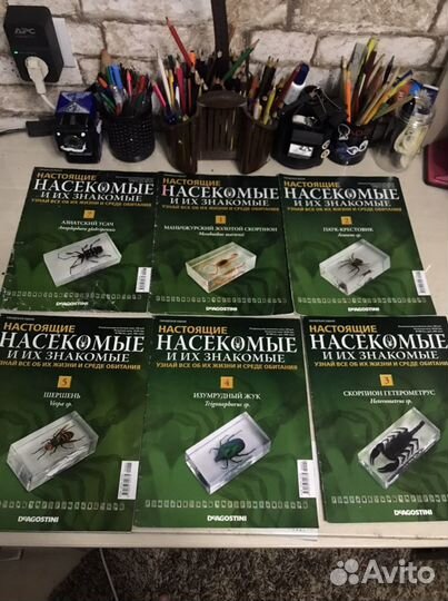 Журнал насекомые и их знакомые