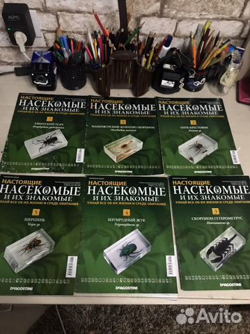Журнал насекомые и их знакомые
