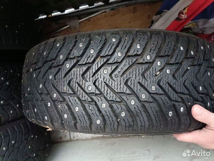 Nordman 8 205/55 R16