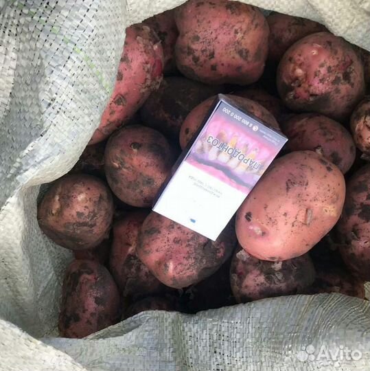 Продам картофель с доставкой