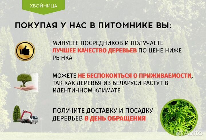 Туи Смарагд 1,4-1,6 м 1,8-2 м