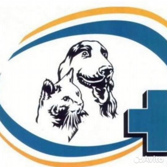 Ветеринарный врач