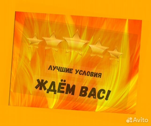 Кладовщик без опыта Еженедельные выплаты Одежда