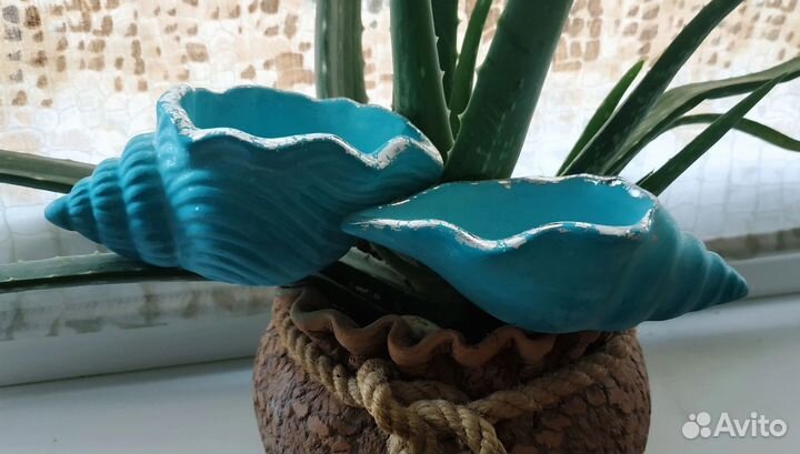 Кашпо ракушка