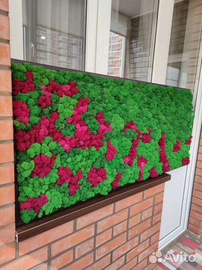 Стабилизированный мох