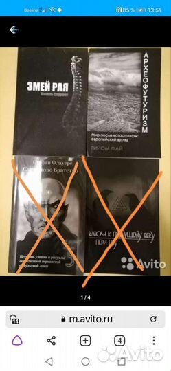 Книга Мигель Серрано, Гийом Фай