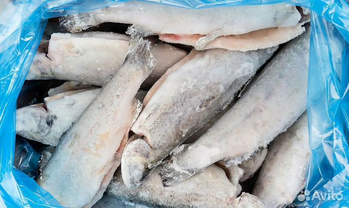 Прибыльный рыбный магазин в центре