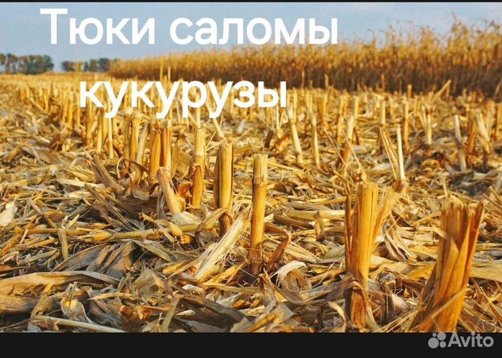 Солома в тюках