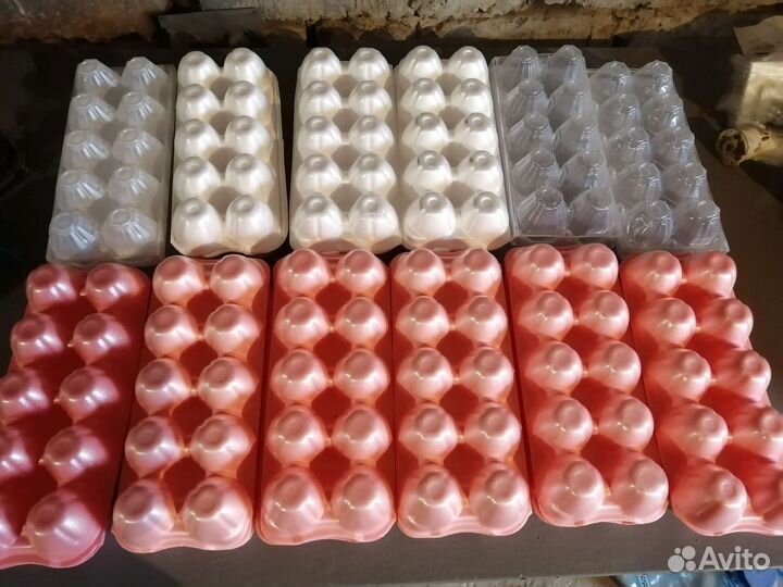 Ячейки для яиц