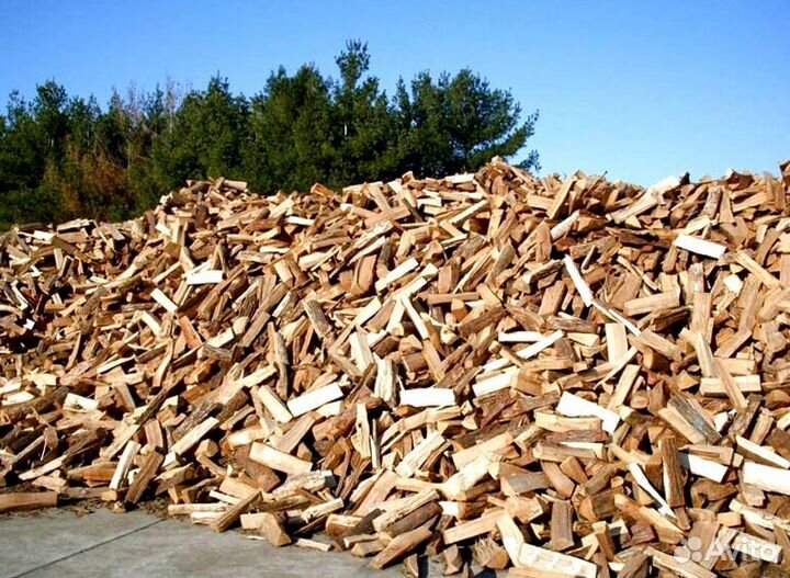 Дрова осина