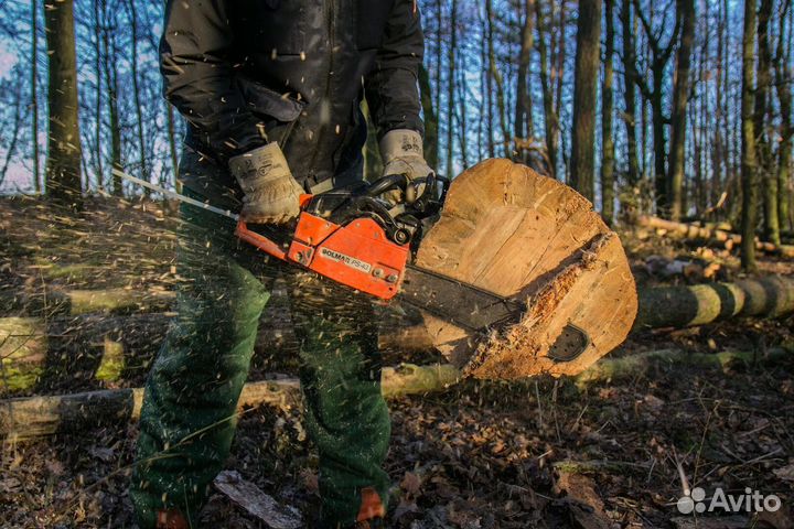 Услуги бригады по заготовке леса