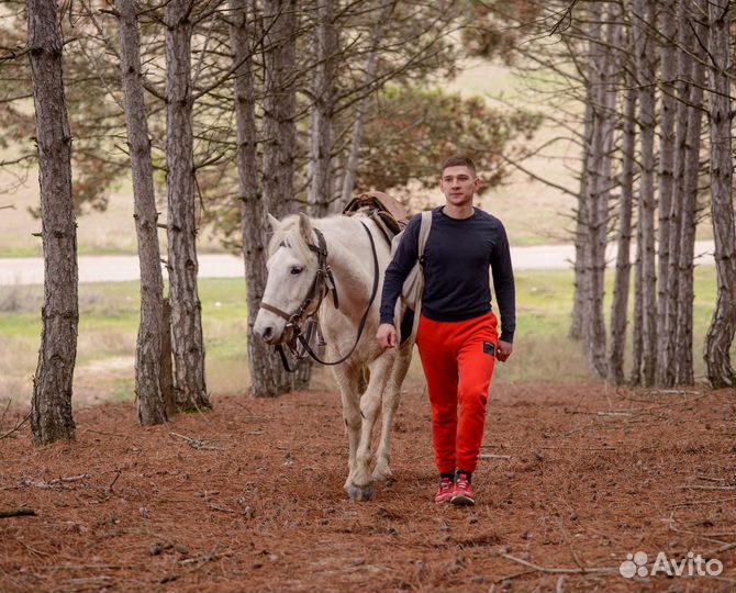 Конный тур по Крыму на 2 дня. Прогулки, экскурсии