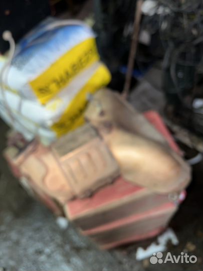 Паук вырезаный кат на solaris 1