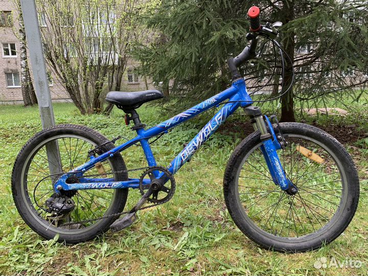 Детский велосипед Dewolf J200 Boy (2018)
