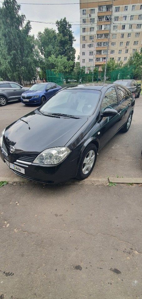 Nissan Primera: фото владельца