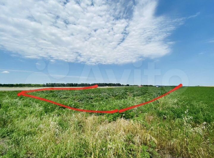 Участок 1,16 га (СНТ, ДНП)