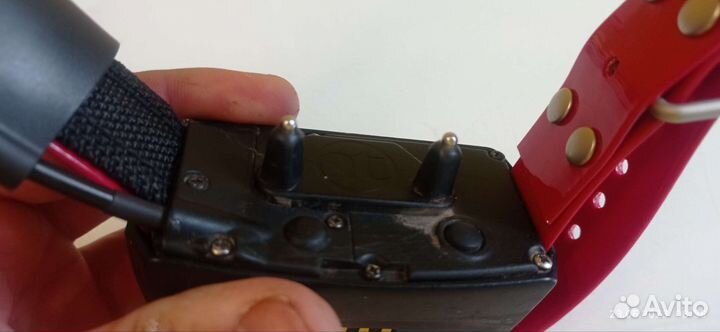 Ошейник Garmin tt10 usa Америка