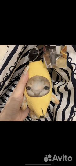 Кот банан