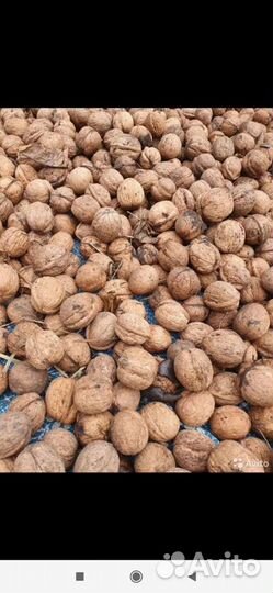 Продам грецкий орех в скорлупе