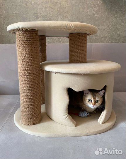 Когтеточки для кошек
