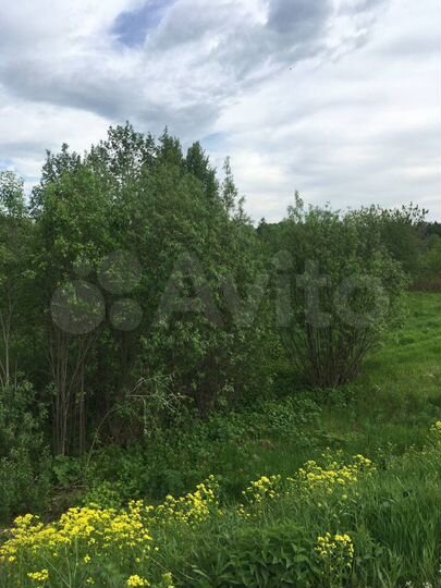 Участок 25 сот. (ИЖС)