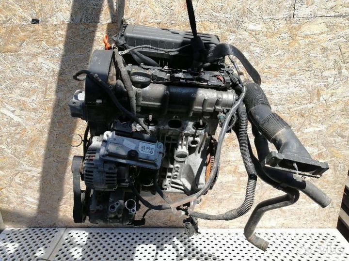 Двигатель Volkswagen Golf 5 (2003 - 2009) 1.4 BUD