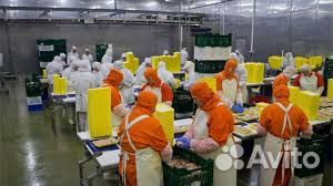 Упаковщик(ца) вахтой на птицефабрику