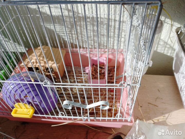 Клетка для грызунов бу