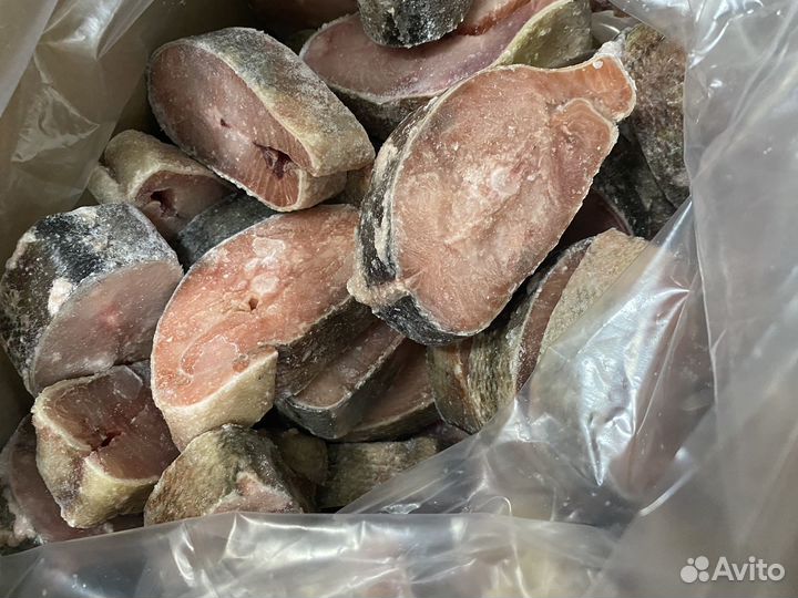 Стйки кеты