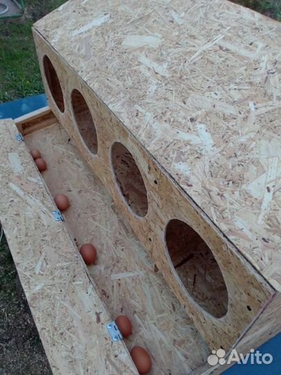 Гнезда для кур с яйцесборником